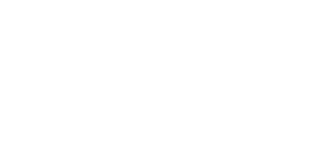 Enel Partner